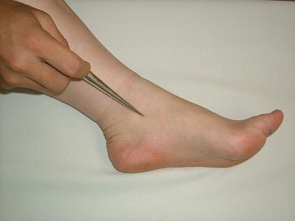 �ƊC���̎挊�ʐ^